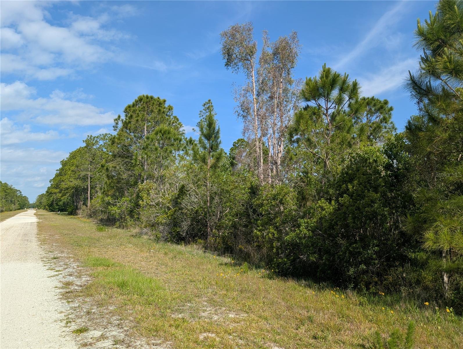 704 ORCHID DR, INDIAN LAKE ESTATES, FL — photo 6