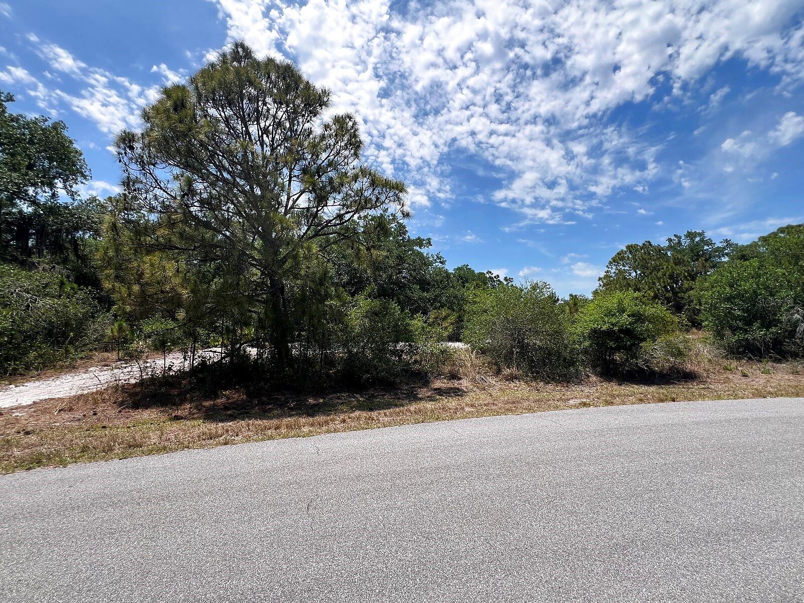 Lot 25 HAMER TER, NORTH PORT, FL
