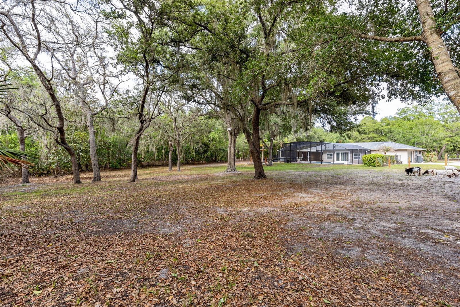 330 HAYES RD, WINTER SPRINGS, FL — photo 41