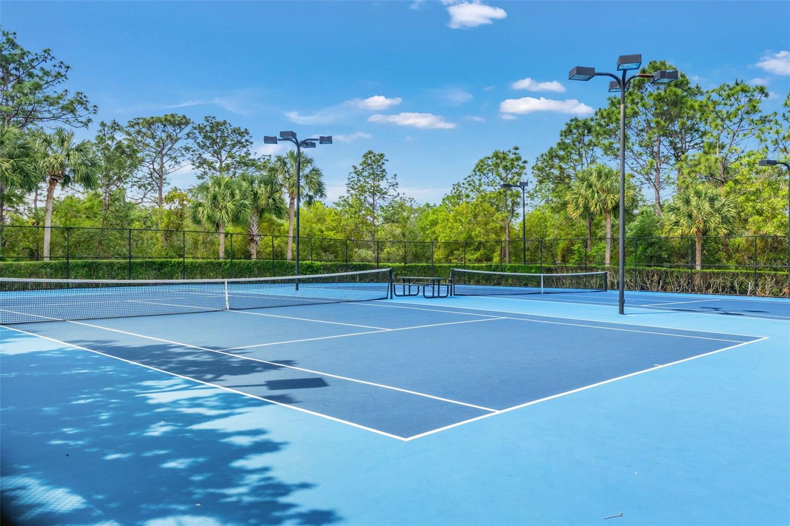 5155 BRACKENWOOD DR, SPRING HILL, FL — photo 63