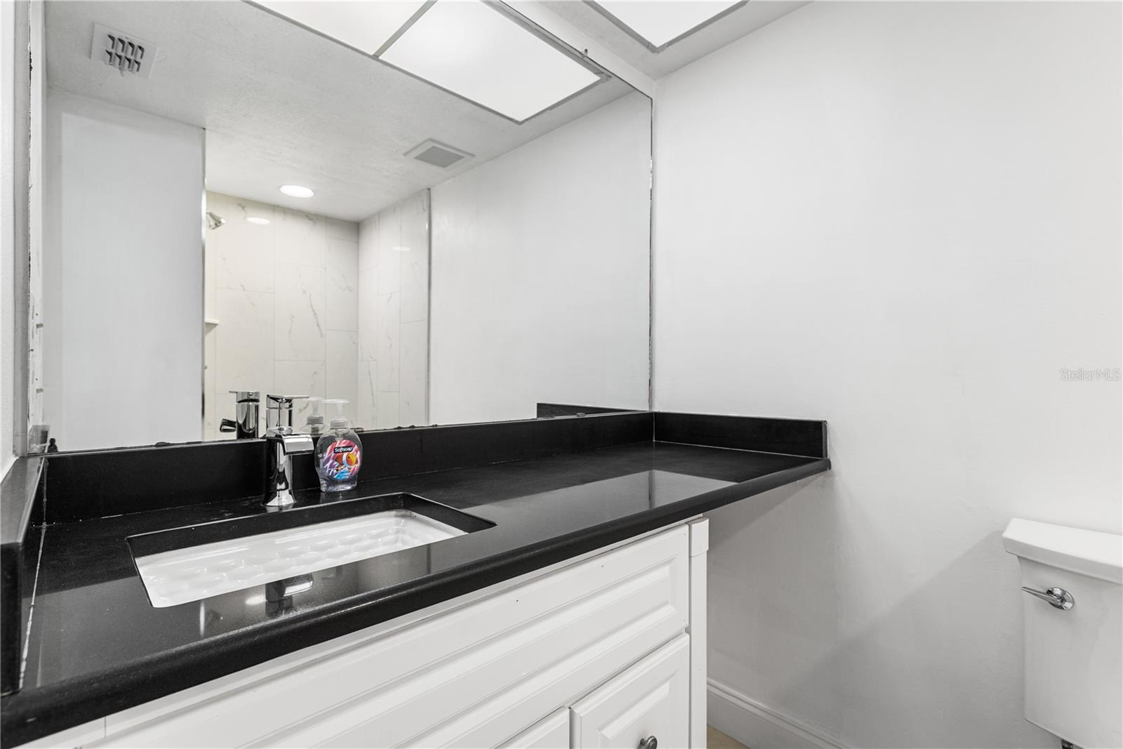 5080 LOCUST ST NE #322, ST PETERSBURG, FL — photo 11