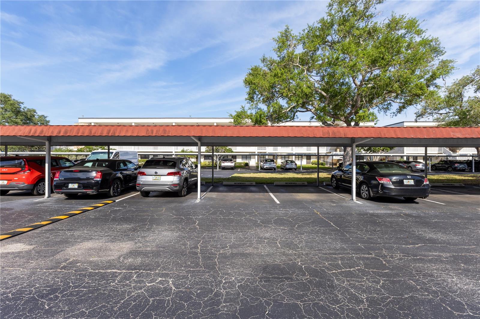 4915 BAY ST NE #224, ST PETERSBURG, FL — photo 28