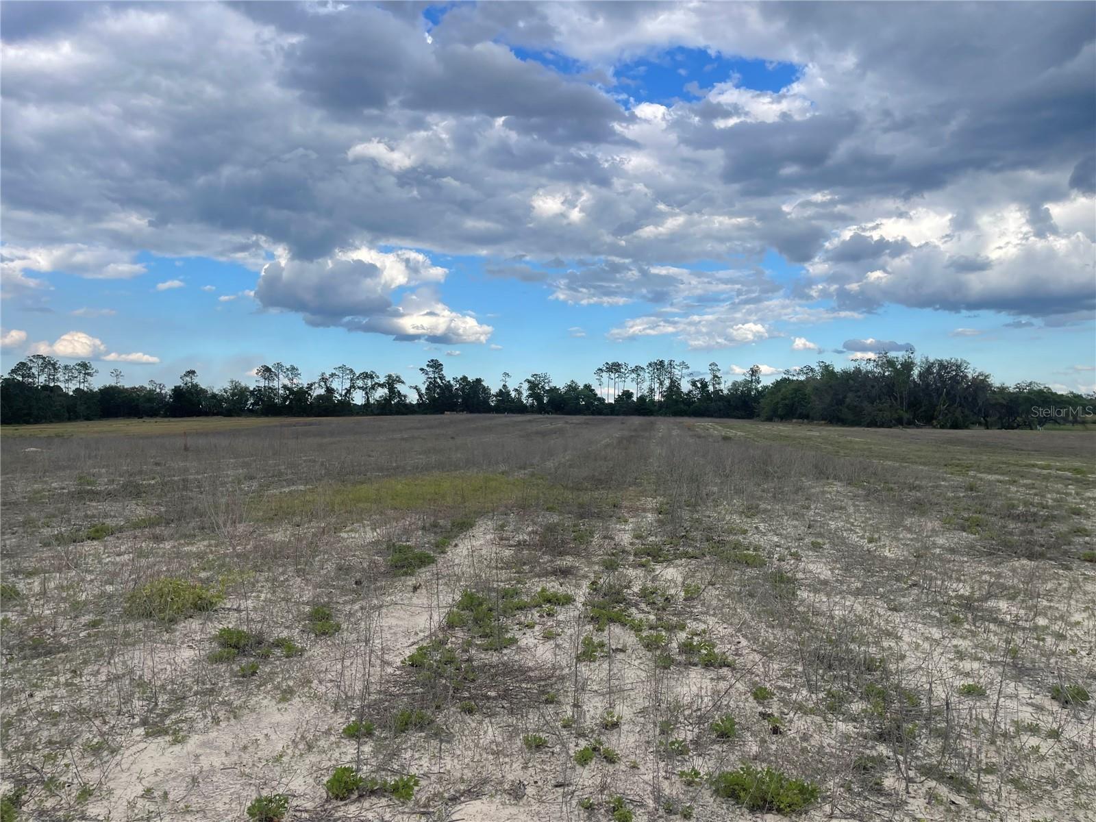 23535 NE 99TH AVENUE RD, CITRA, FL — photo 4