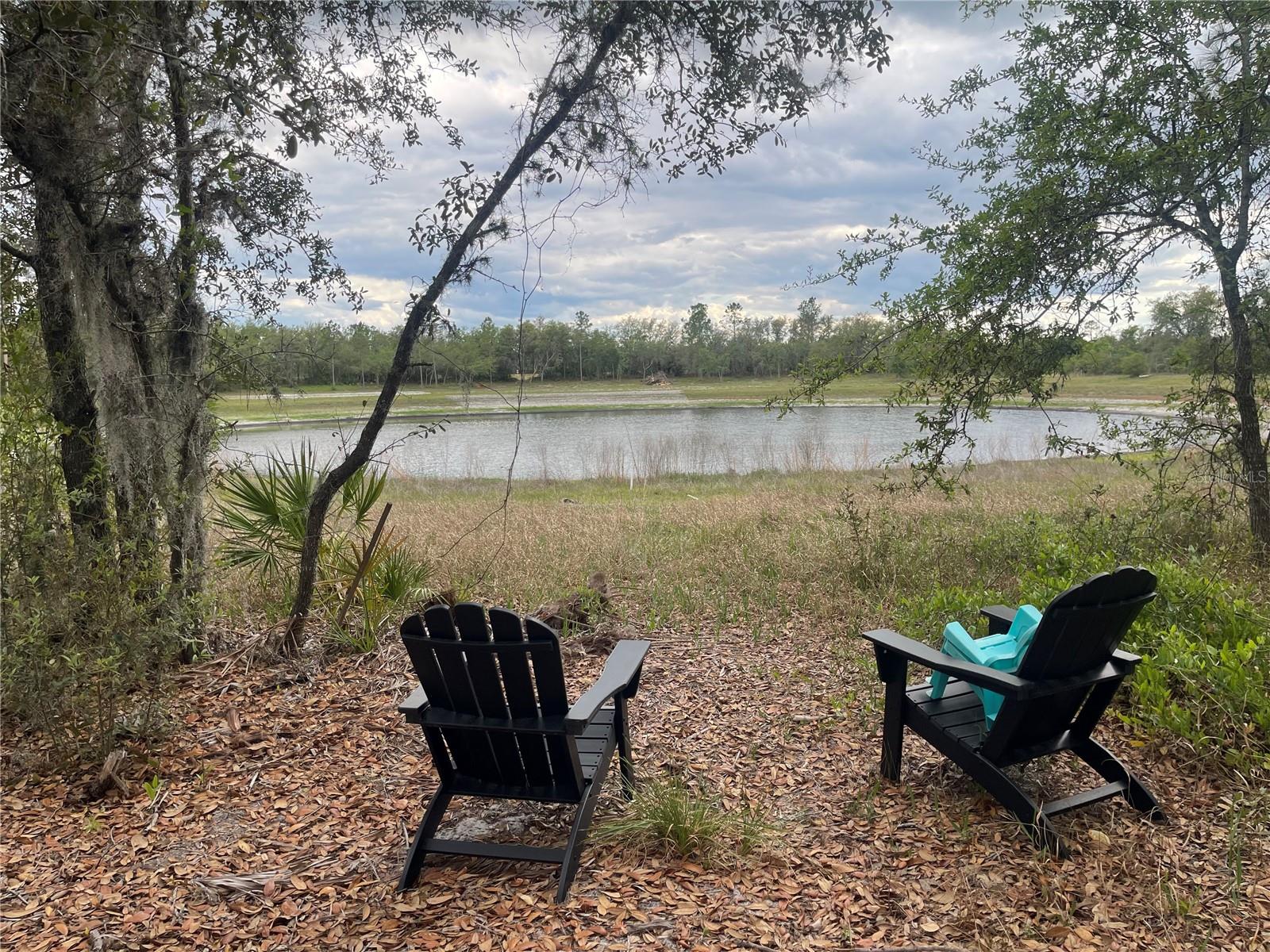 23535 NE 99TH AVENUE RD, CITRA, FL — photo 6