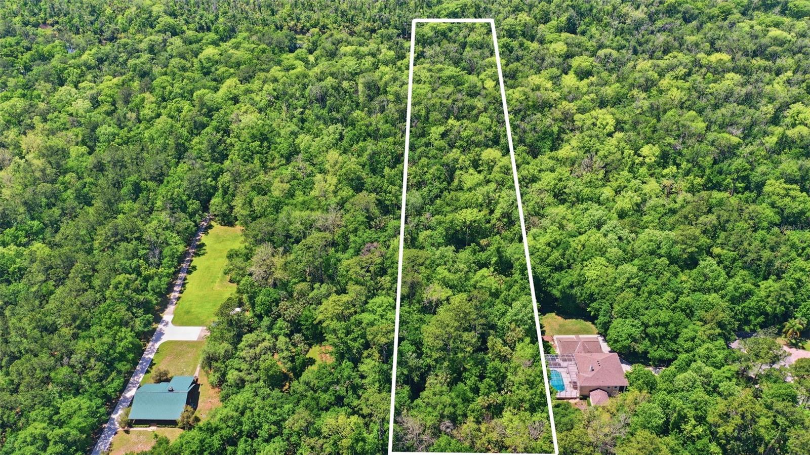 DELK RD, LONGWOOD, FL — photo 8