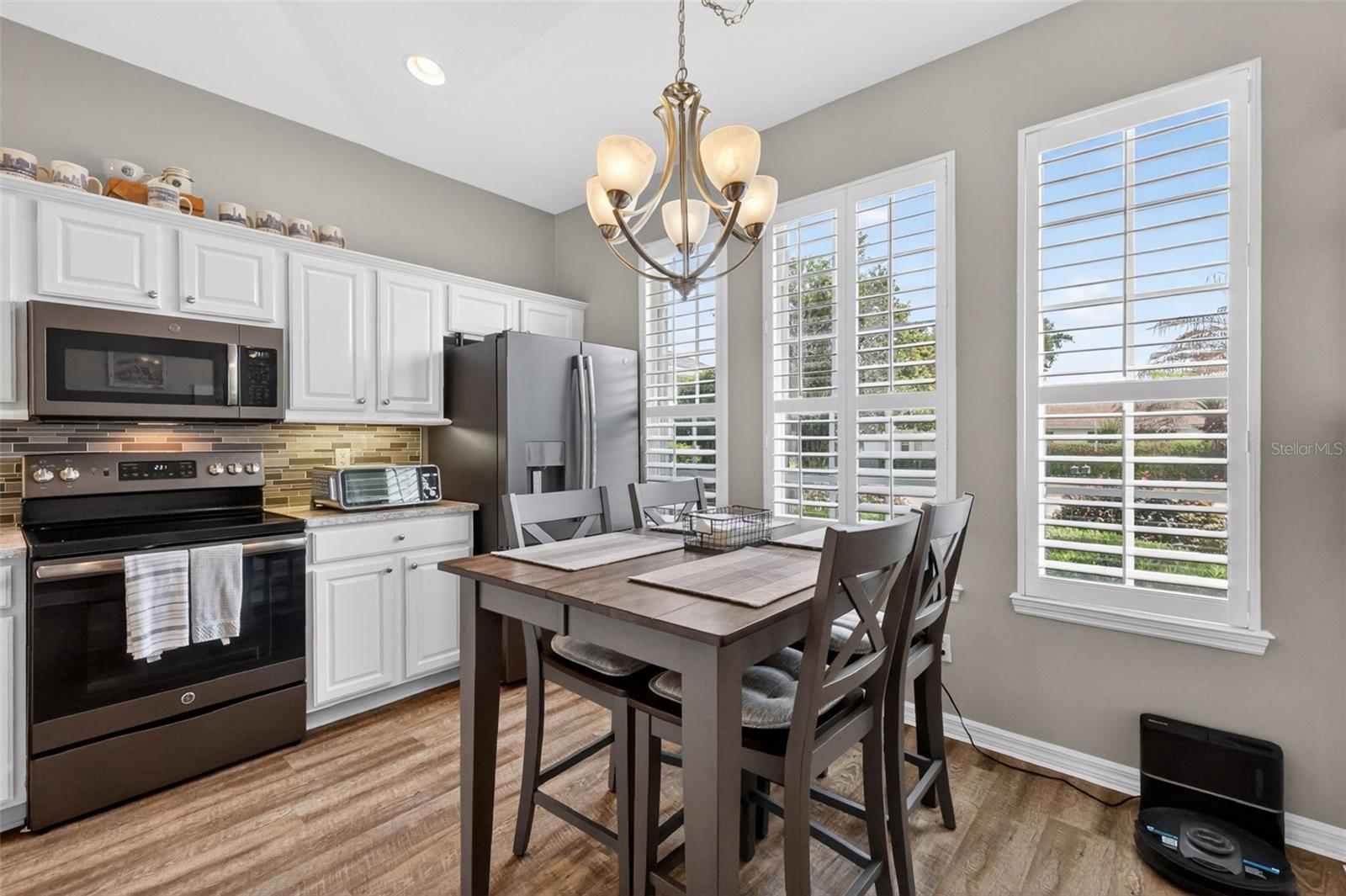 8011 PINE HOLLOW DR, MOUNT DORA, FL — photo 41