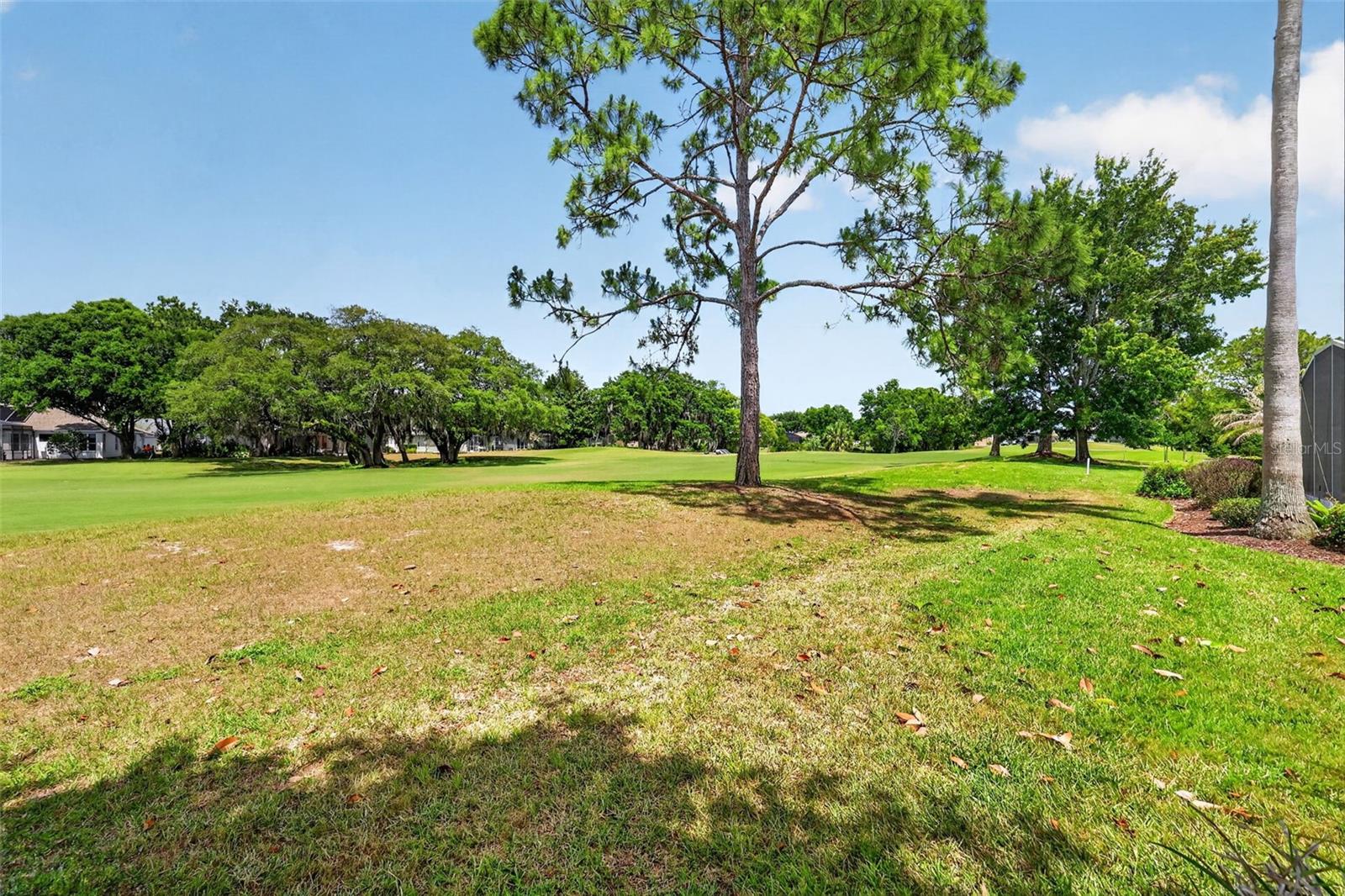 8011 PINE HOLLOW DR, MOUNT DORA, FL — photo 88