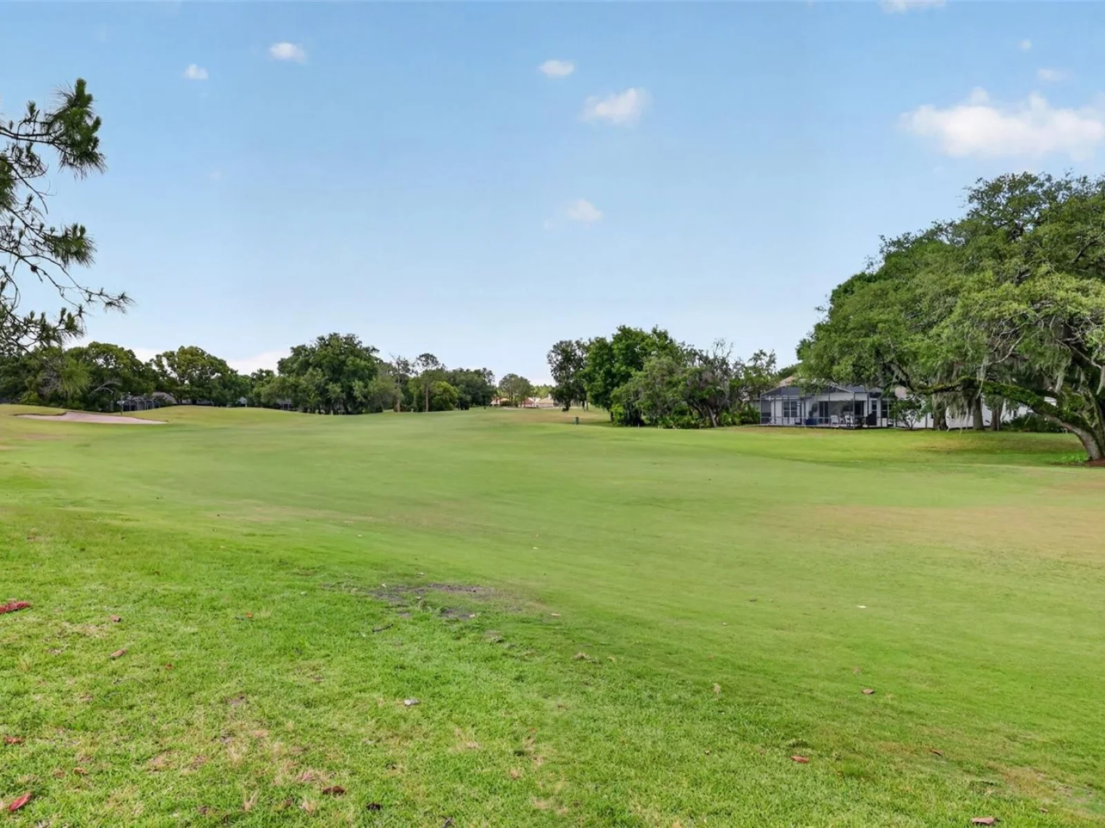 8011 PINE HOLLOW DR, MOUNT DORA, FL — photo 97