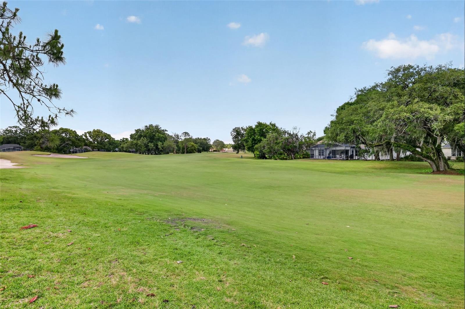 8011 PINE HOLLOW DR, MOUNT DORA, FL — photo 98