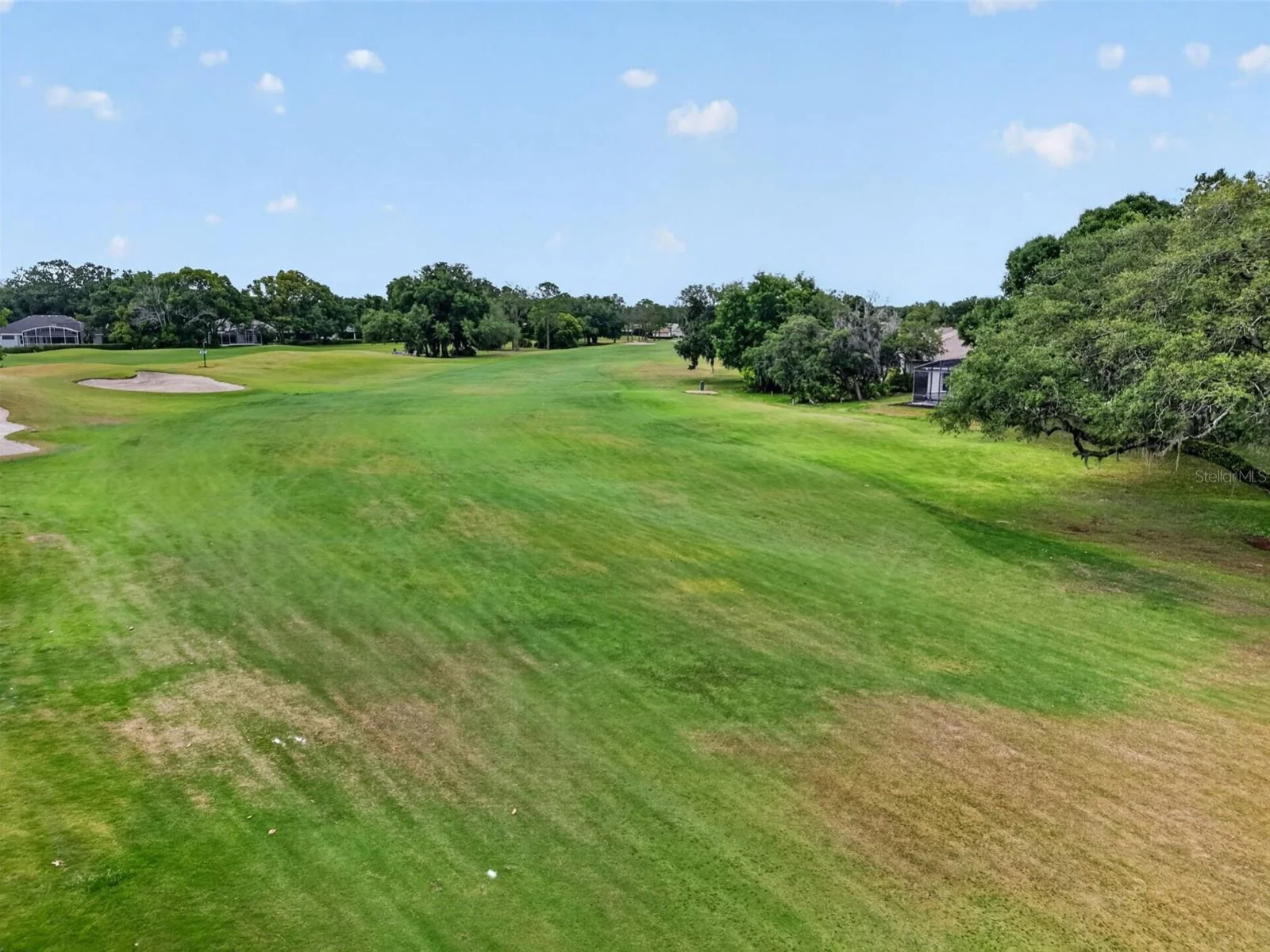 8011 PINE HOLLOW DR, MOUNT DORA, FL — photo 99