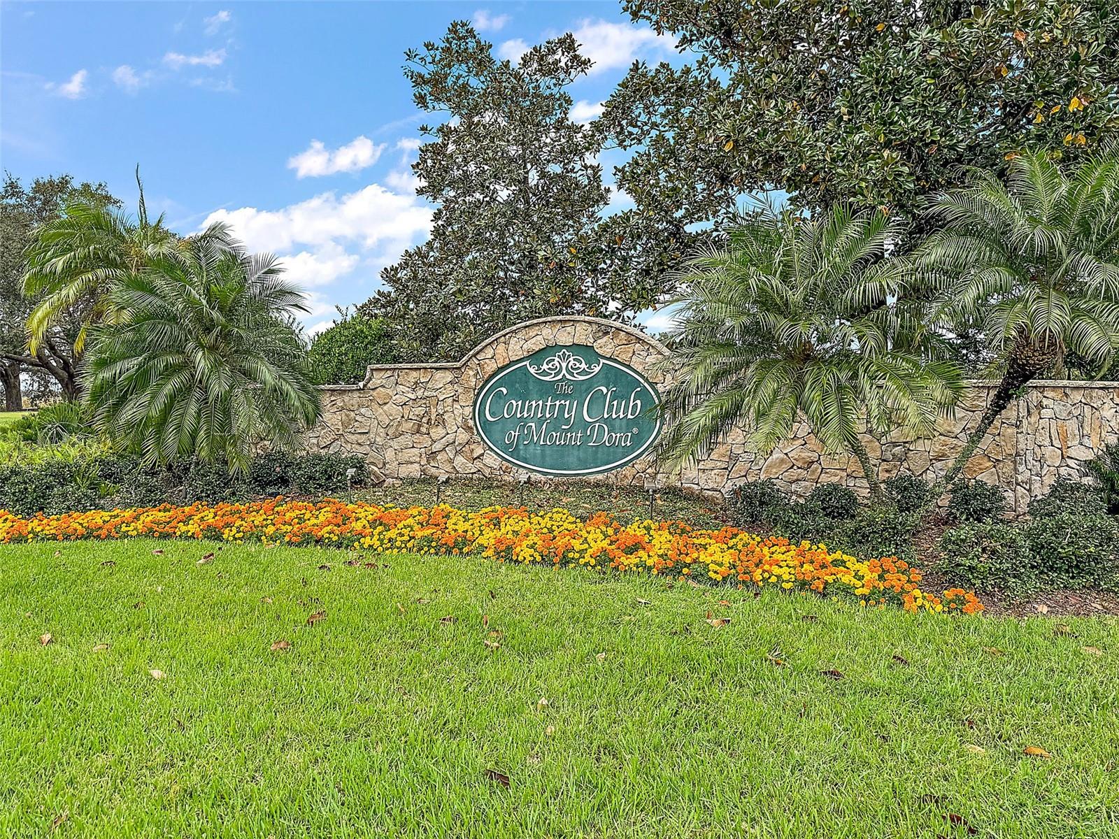 8011 PINE HOLLOW DR, MOUNT DORA, FL — photo 102