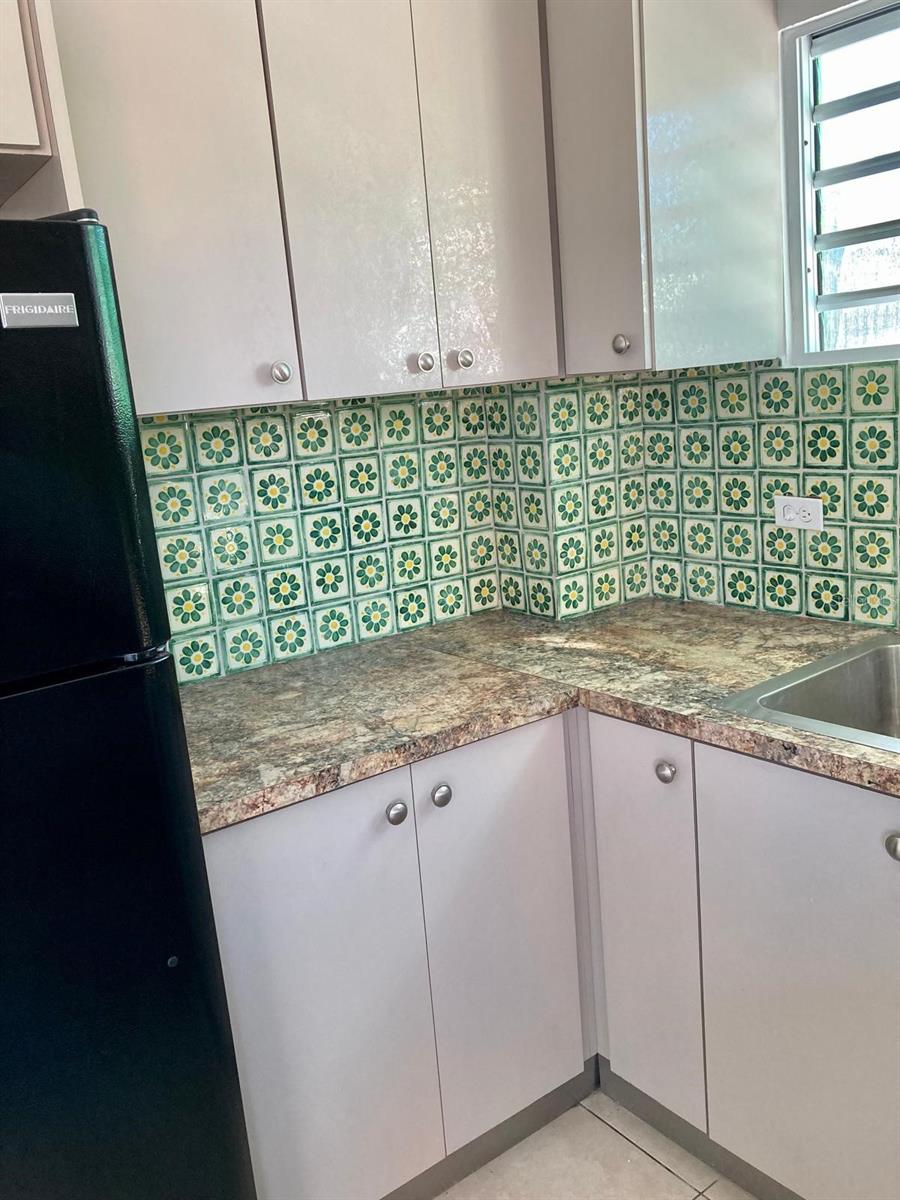 215 COLTON, SAN JUAN, PR — photo 63