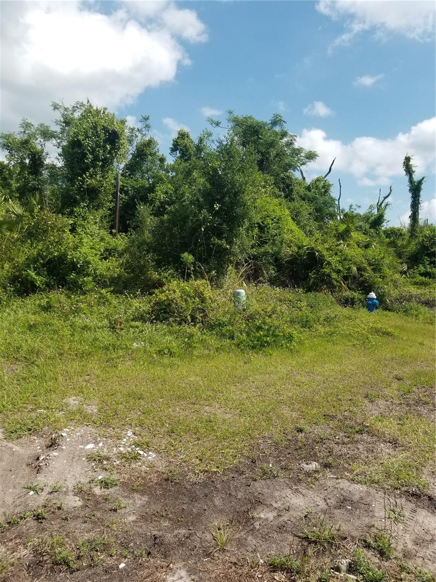 21 MILWAUKEE AVE, PALM COAST, FL
