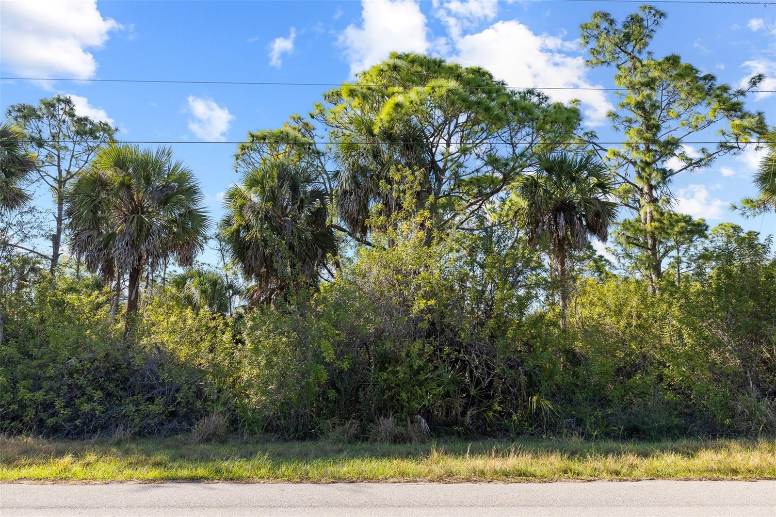 425 CHESHIRE ST, PORT CHARLOTTE, FL