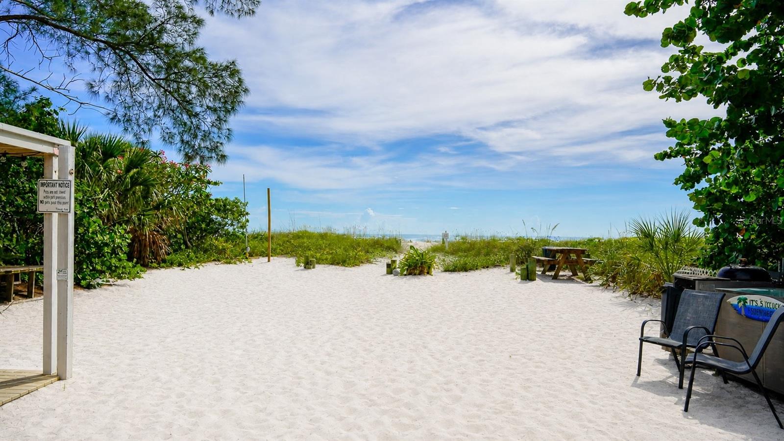 10200 GULF BLVD, TREASURE ISLAND, FL — photo 7