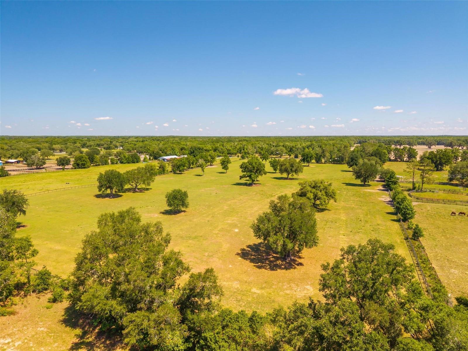TBD SE 42ND PL, MORRISTON, FL — photo 19