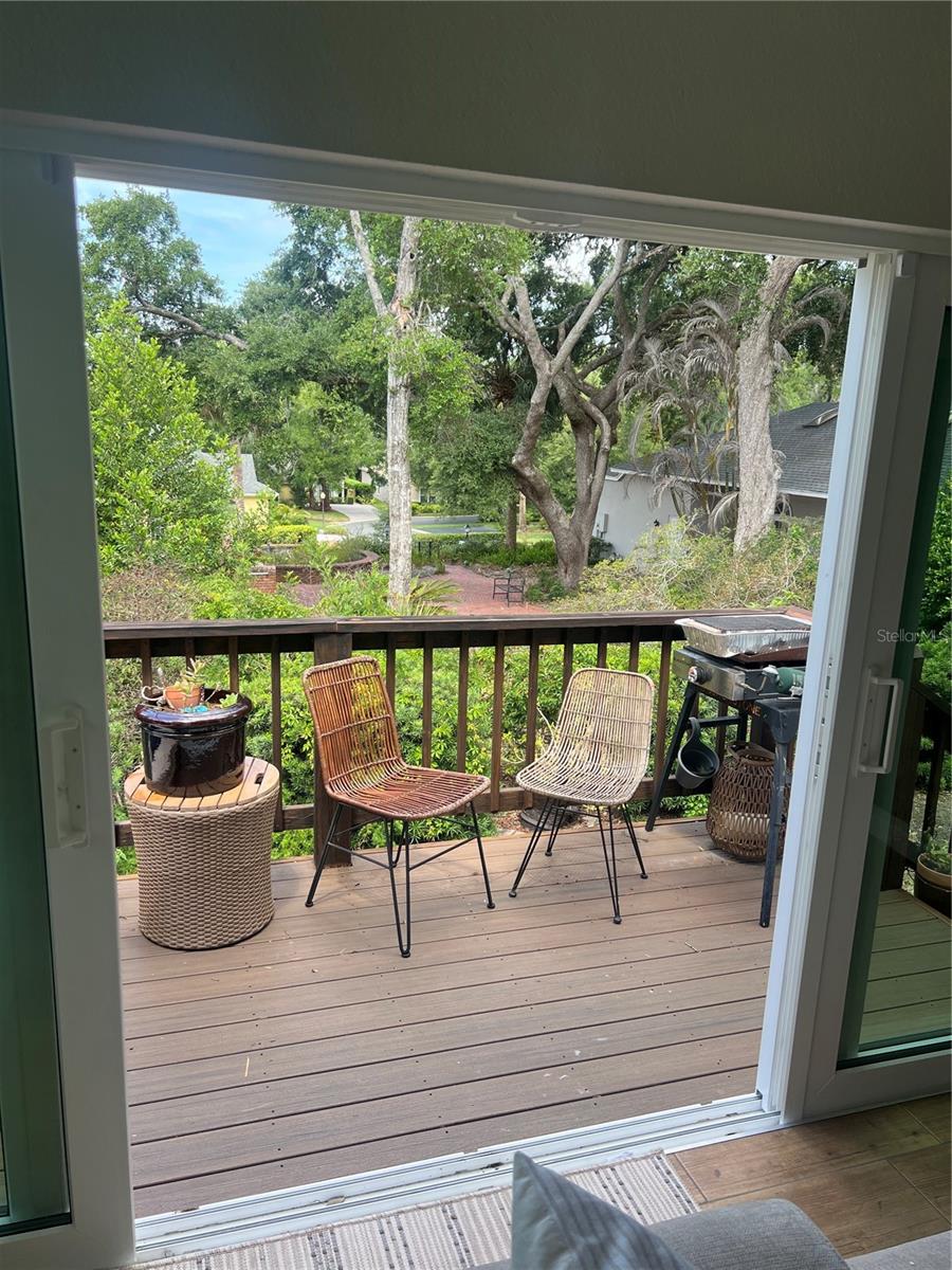 631 SAND LAKE CT, MOUNT DORA, FL — photo 35