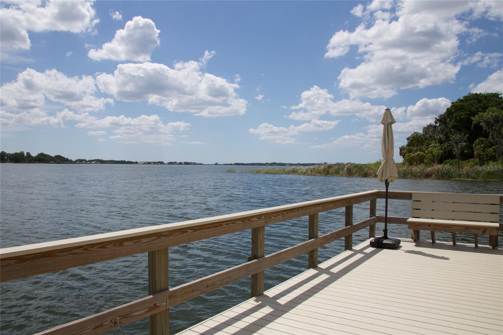 631 SAND LAKE CT, MOUNT DORA, FL — photo 44