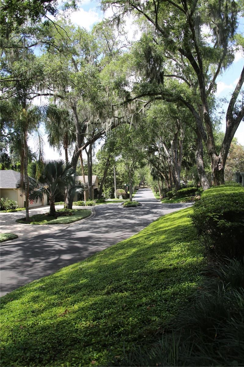 631 SAND LAKE CT, MOUNT DORA, FL — photo 55