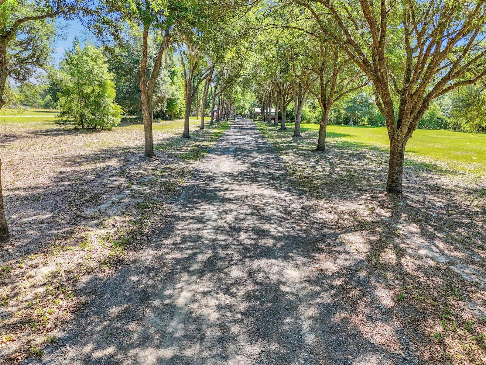 3325 S HWY 314A, OCKLAWAHA, FL — photo 11