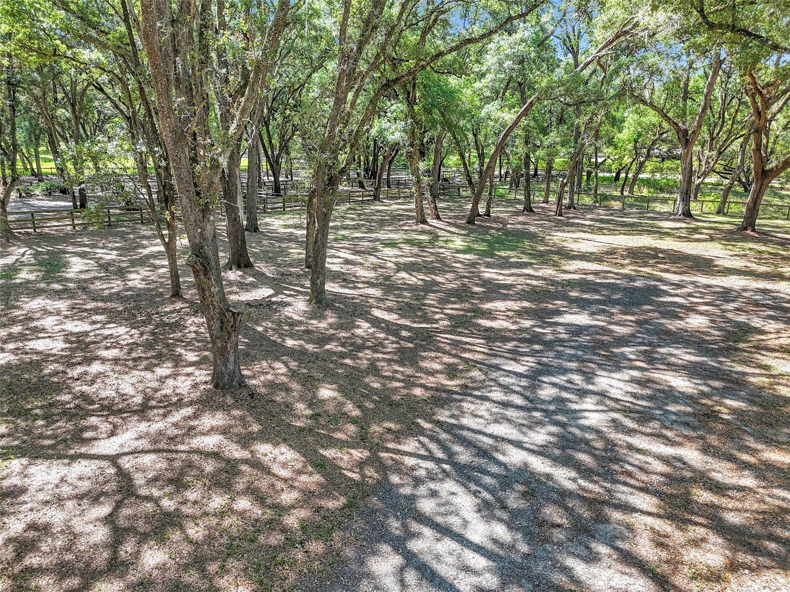 3325 S HWY 314A, OCKLAWAHA, FL — photo 16