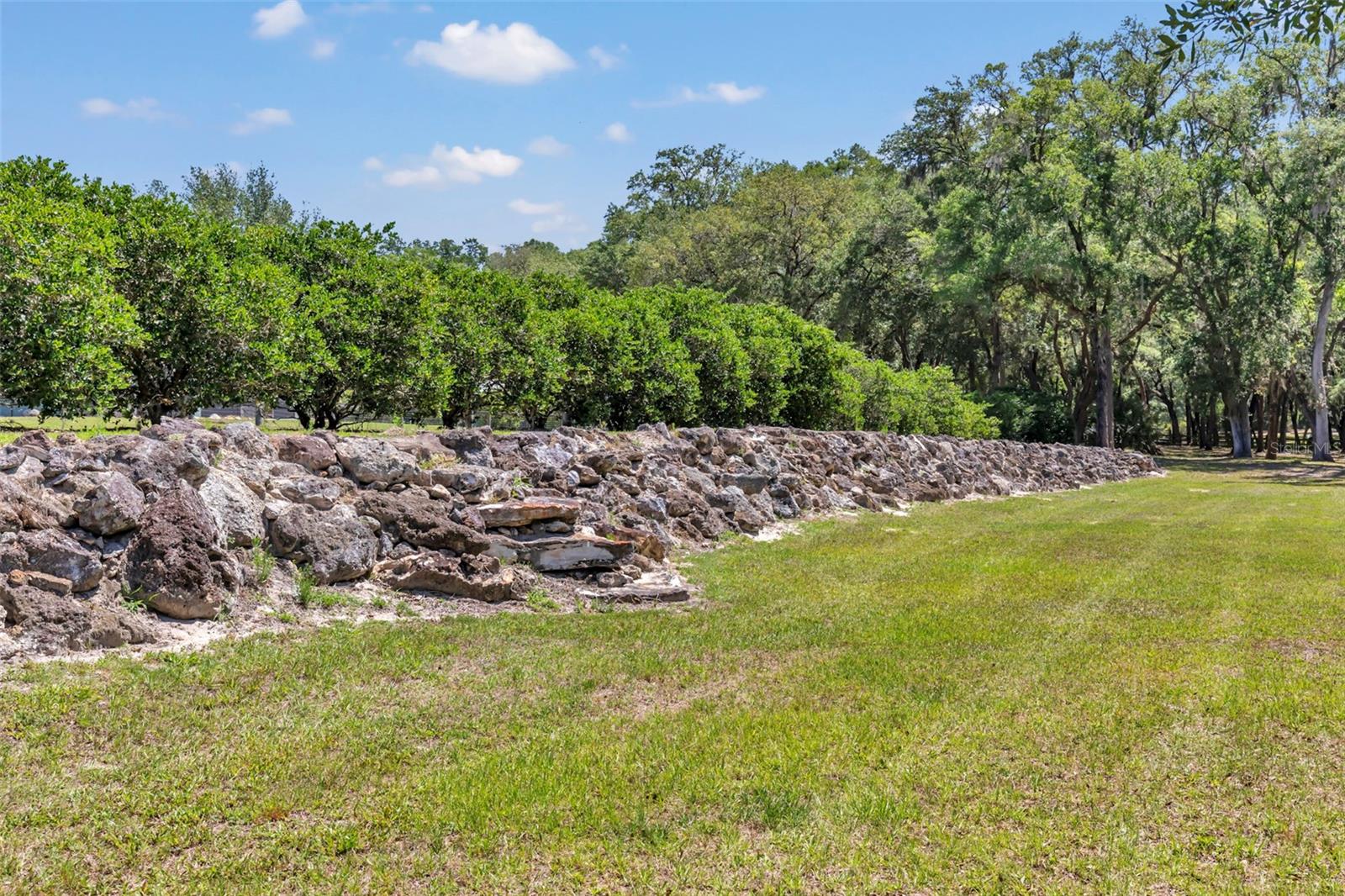 3325 S HWY 314A, OCKLAWAHA, FL — photo 48