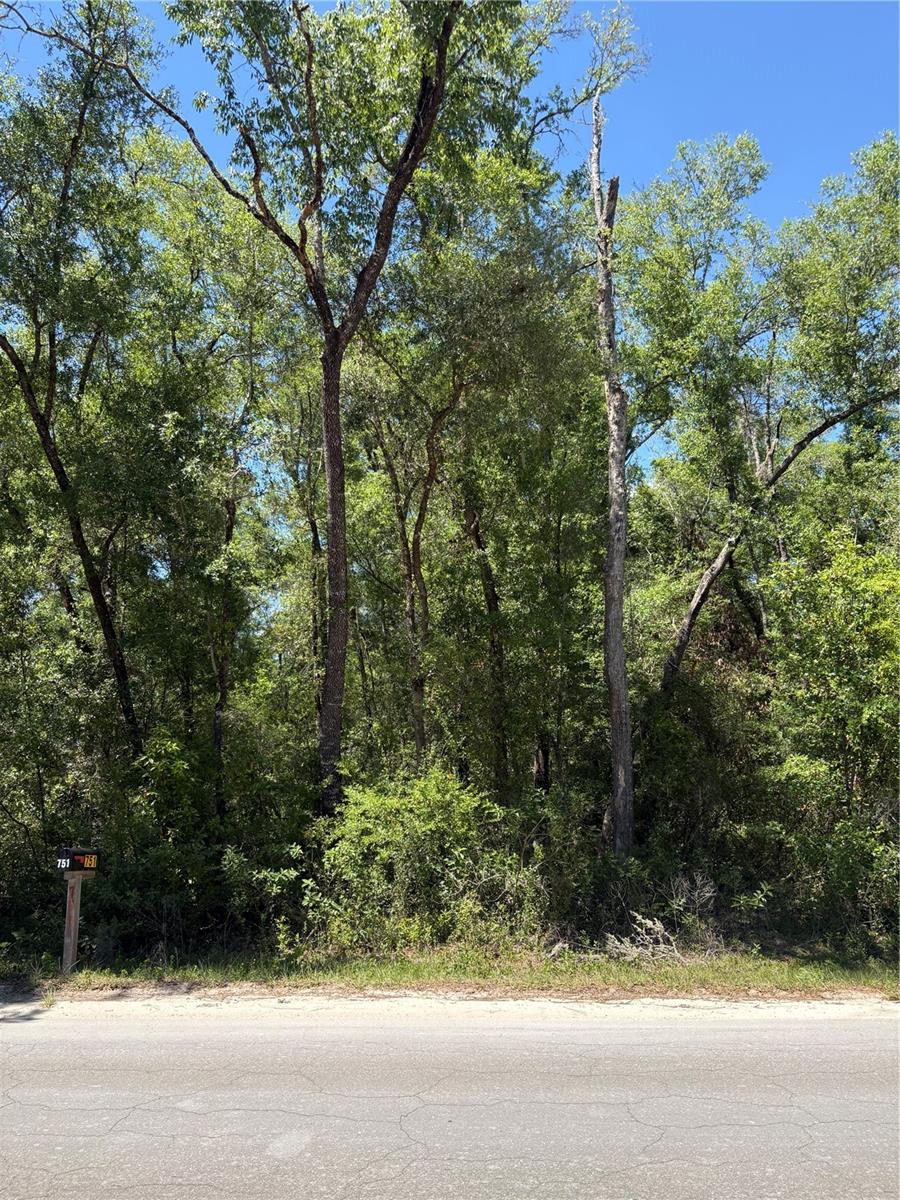 00 NE 7TH PLACE, WILLISTON, FL