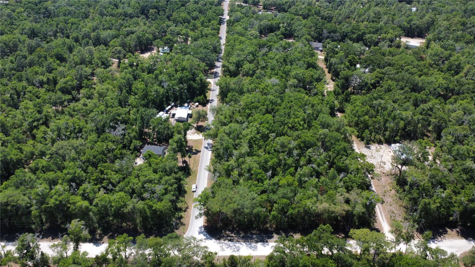 00 NE 7TH PLACE, WILLISTON, FL — photo 3