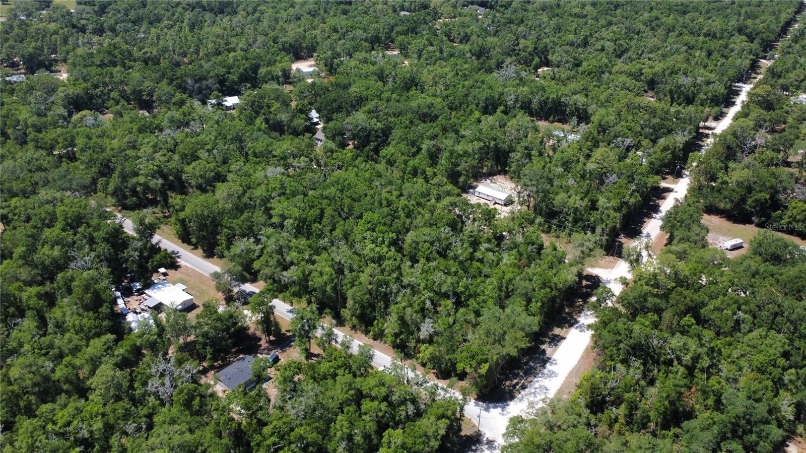 00 NE 7TH PLACE, WILLISTON, FL — photo 4