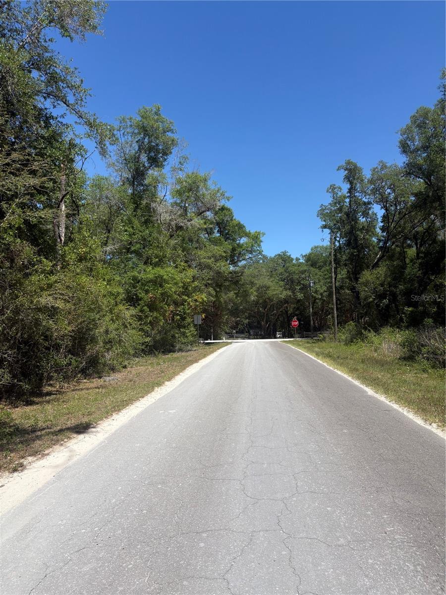 00 NE 7TH PLACE, WILLISTON, FL — photo 5