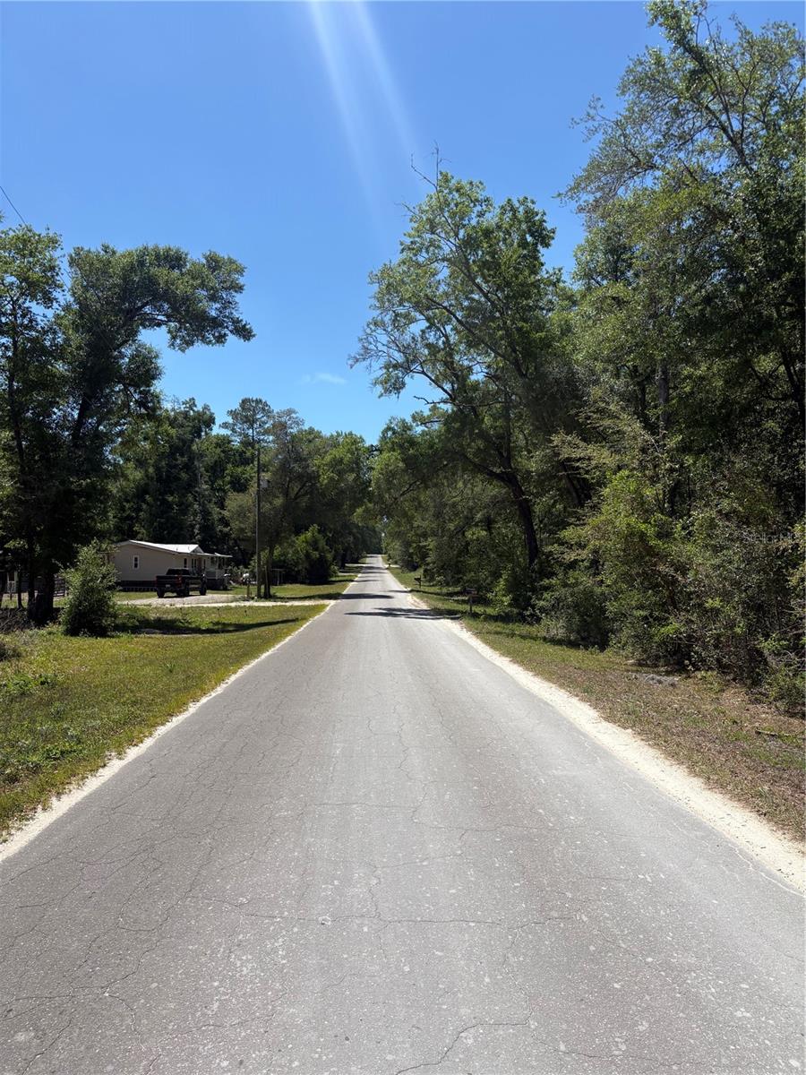 00 NE 7TH PLACE, WILLISTON, FL — photo 6