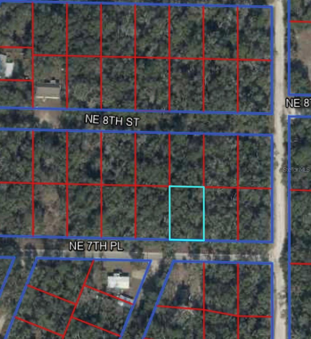 00 NE 7TH PLACE, WILLISTON, FL — photo 7