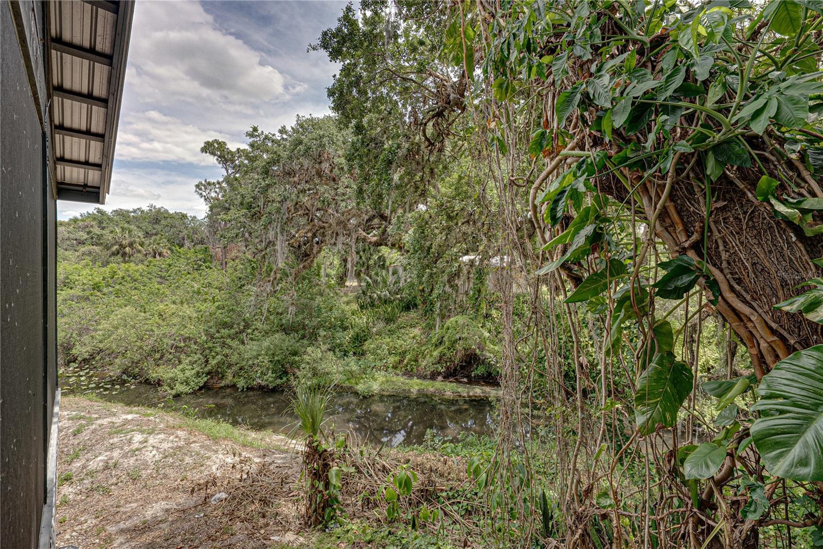 975 CALOOSA ESTATES DR, LABELLE, FL — photo 58
