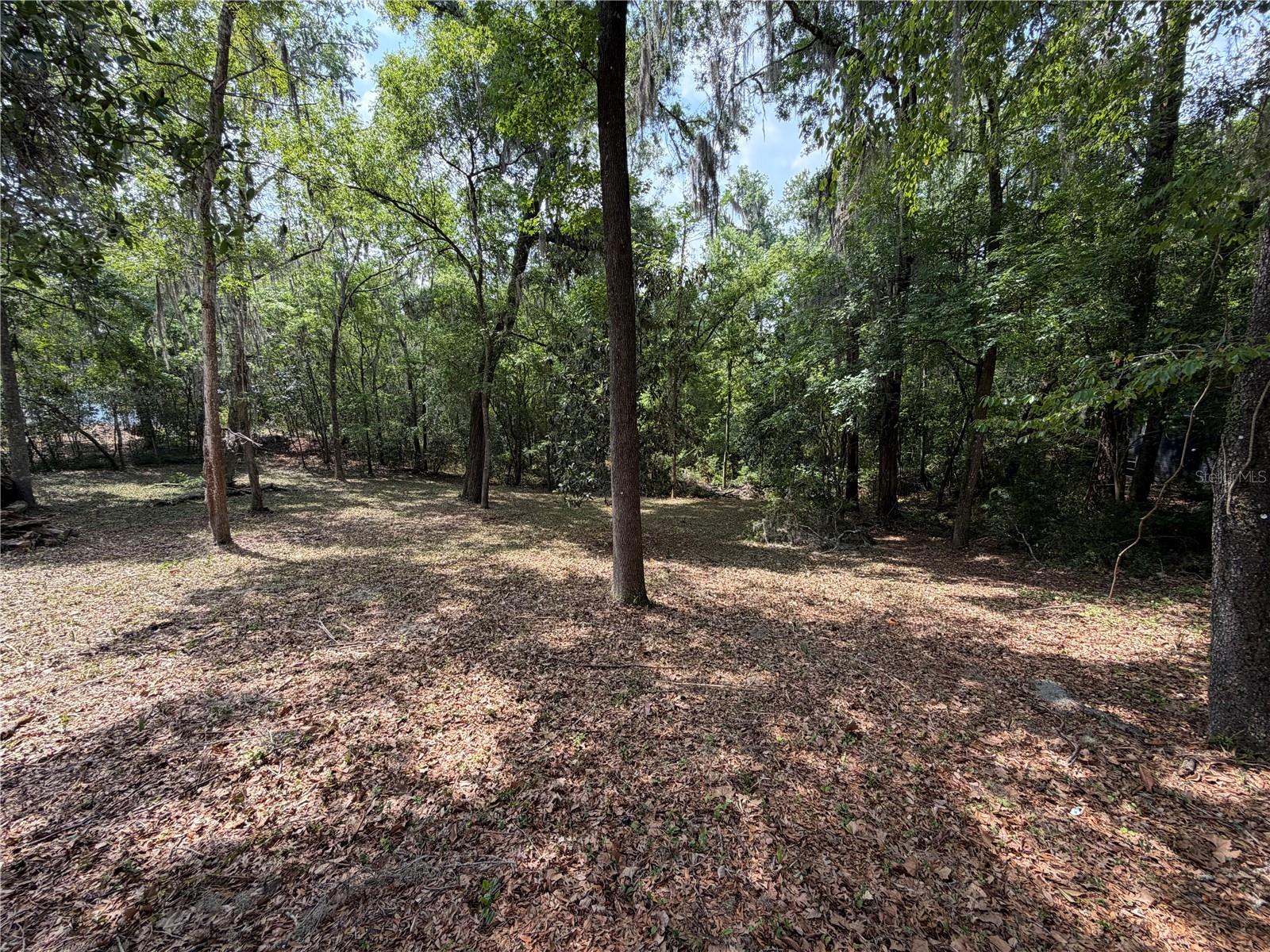 1723 NW 14TH AVE, GAINESVILLE, FL — photo 7