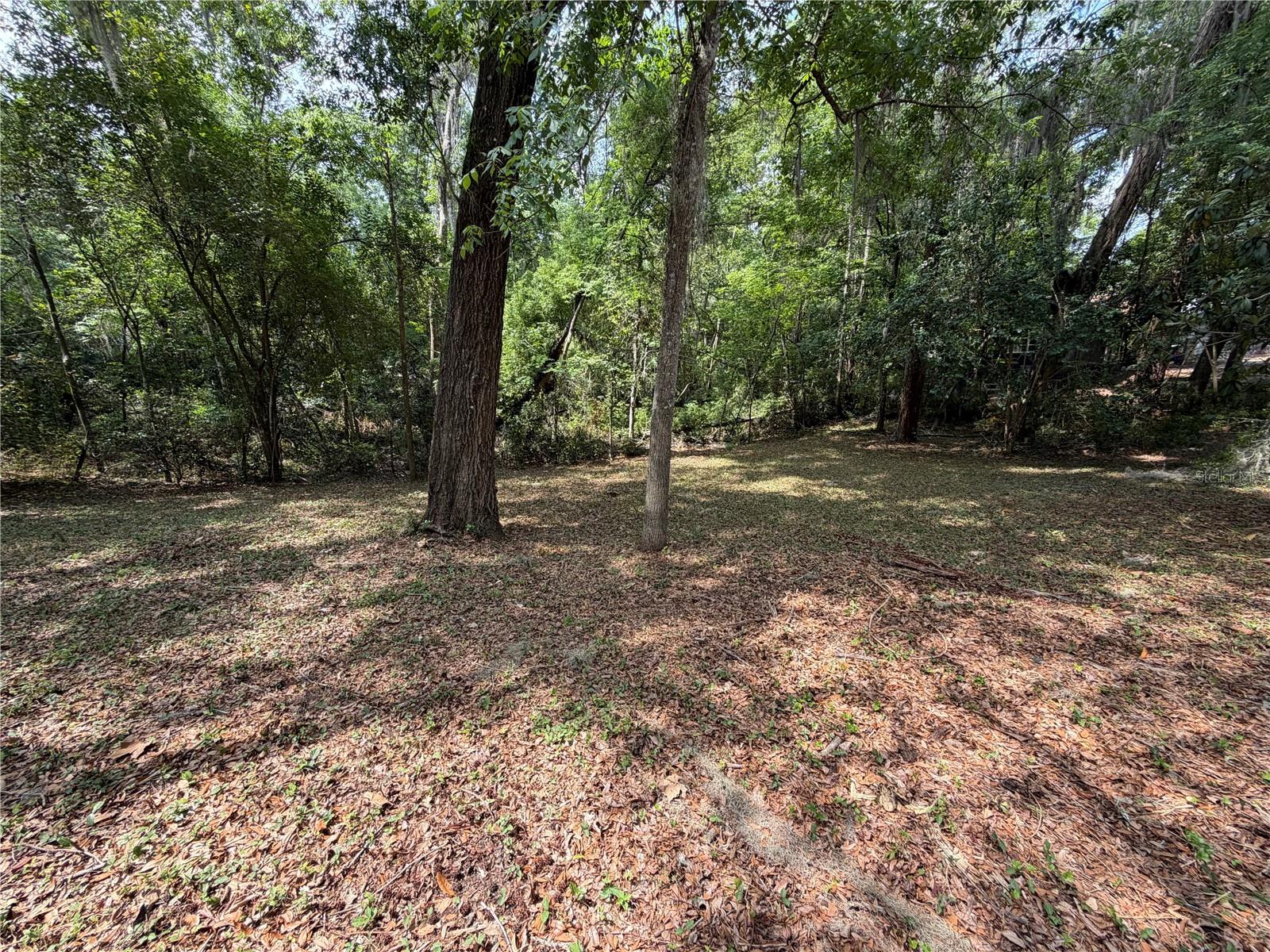 1723 NW 14TH AVE, GAINESVILLE, FL — photo 8