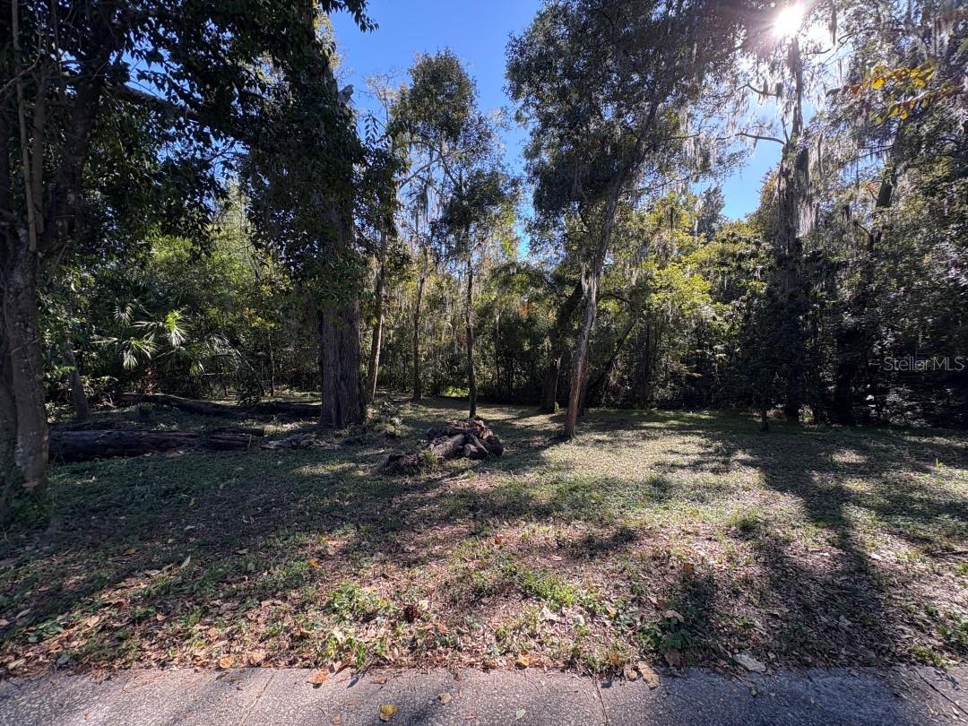 1723 NW 14TH AVE, GAINESVILLE, FL — photo 9