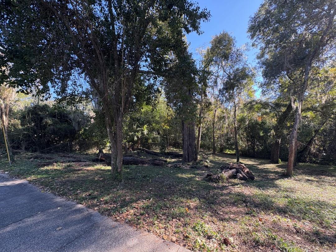 1723 NW 14TH AVE, GAINESVILLE, FL — photo 10