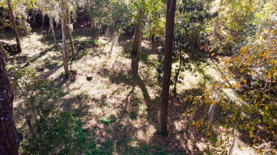 1723 NW 14TH AVE, GAINESVILLE, FL — photo 12