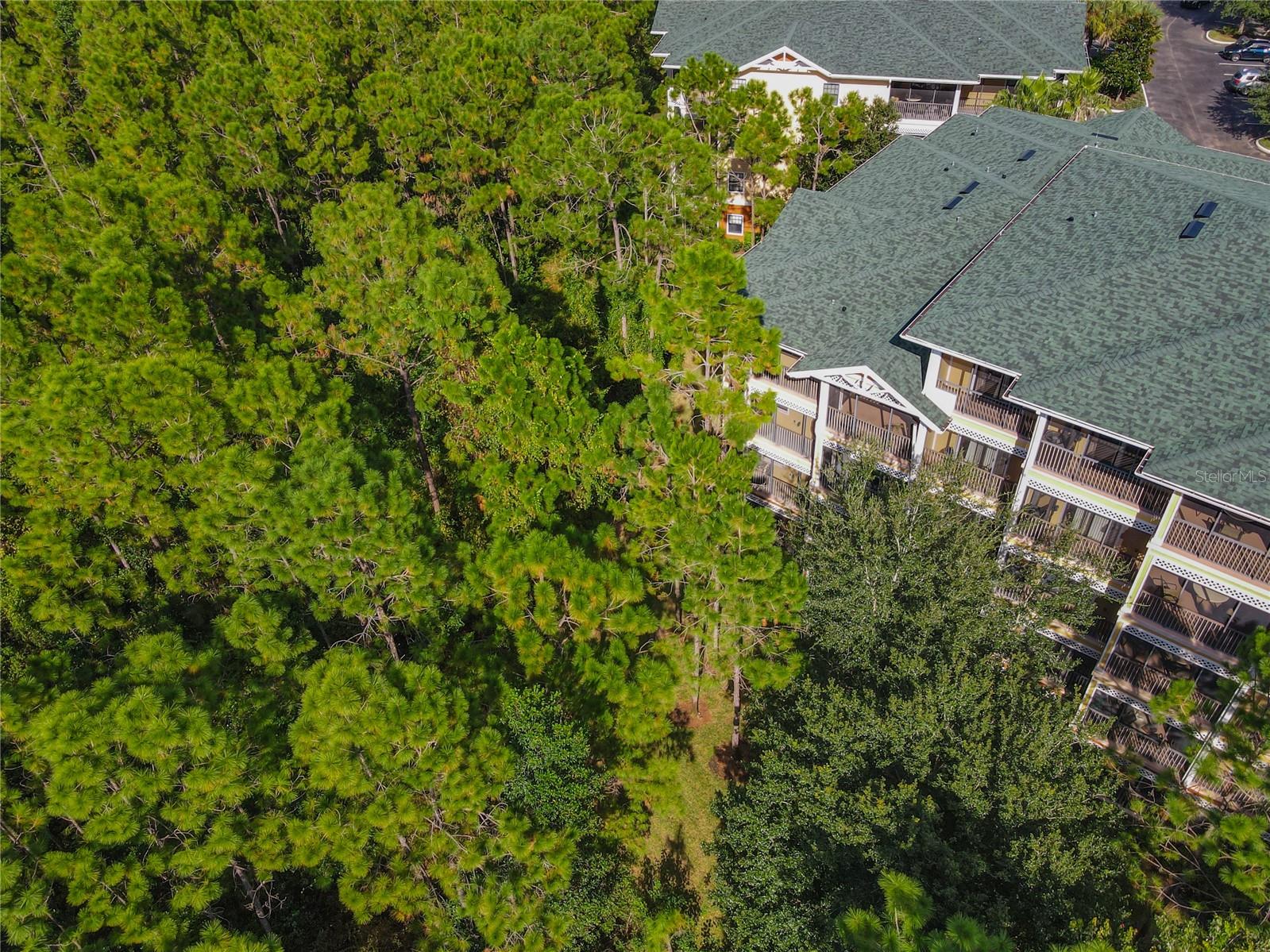 3050 PIRATES RETREAT CT #207, KISSIMMEE, FL — photo 53