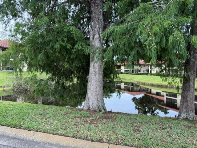 1711 HAMMOCK PINE BLVD #1711, CLEARWATER, FL — photo 45