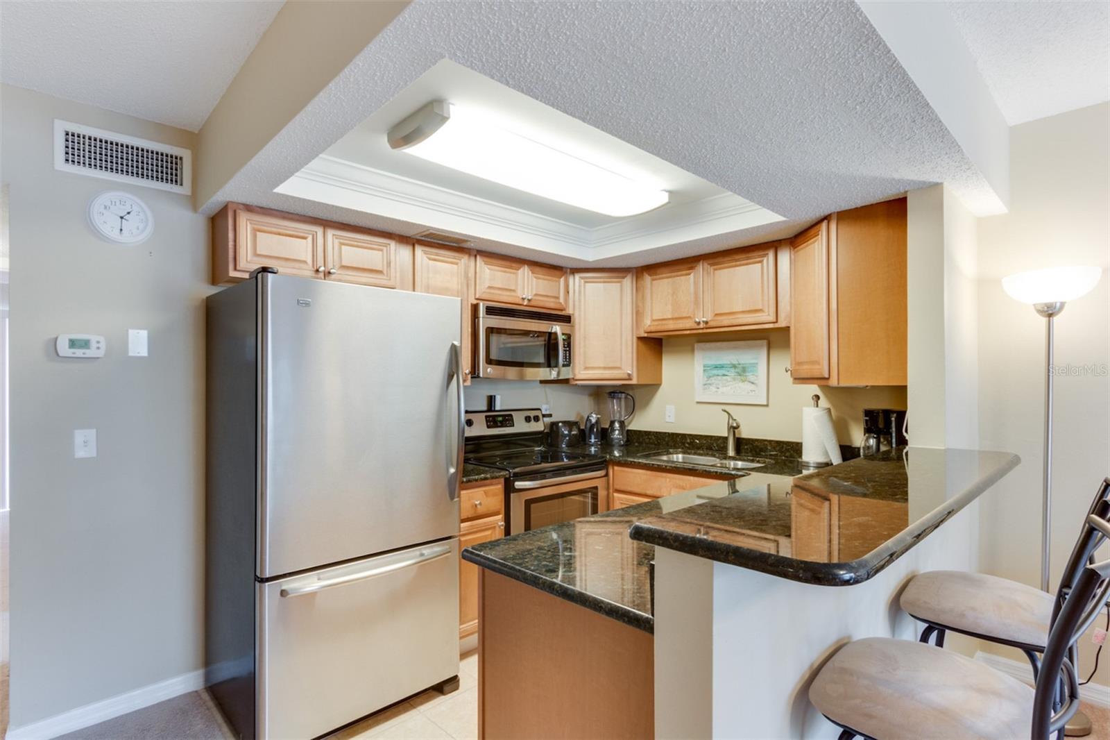 9755 HARRELL AVE #102, TREASURE ISLAND, FL — photo 9