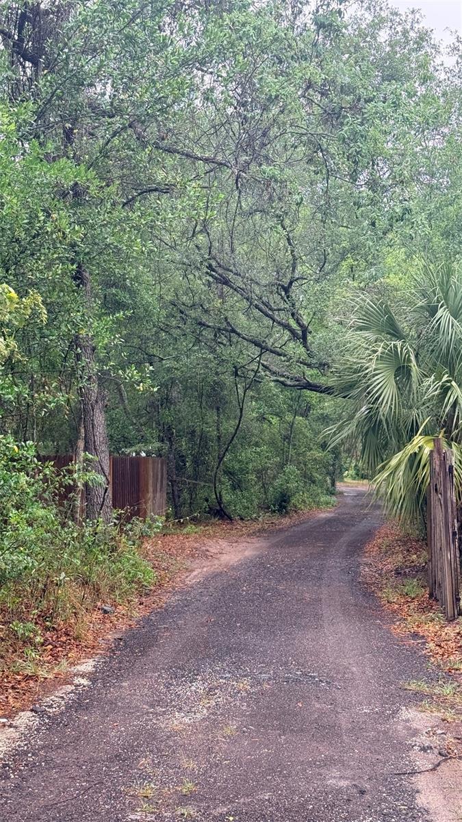 15535 LITTLE RANCH RD, SPRING HILL, FL — photo 39