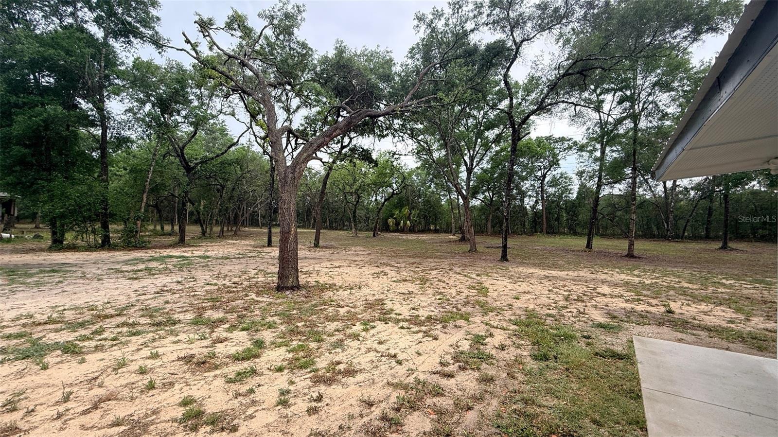 15535 LITTLE RANCH RD, SPRING HILL, FL — photo 40