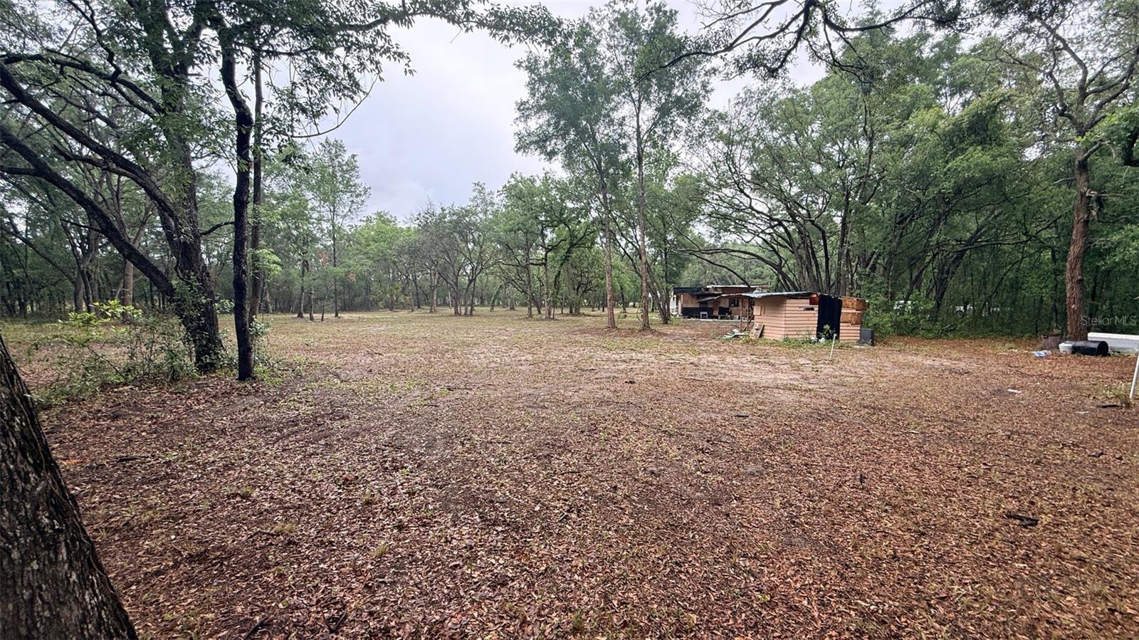 15535 LITTLE RANCH RD, SPRING HILL, FL — photo 45