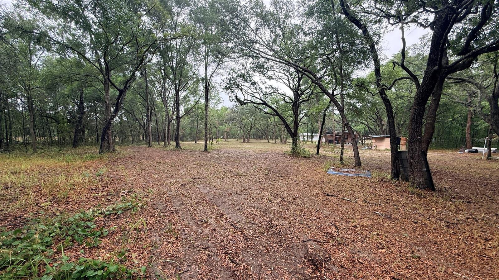 15535 LITTLE RANCH RD, SPRING HILL, FL — photo 46