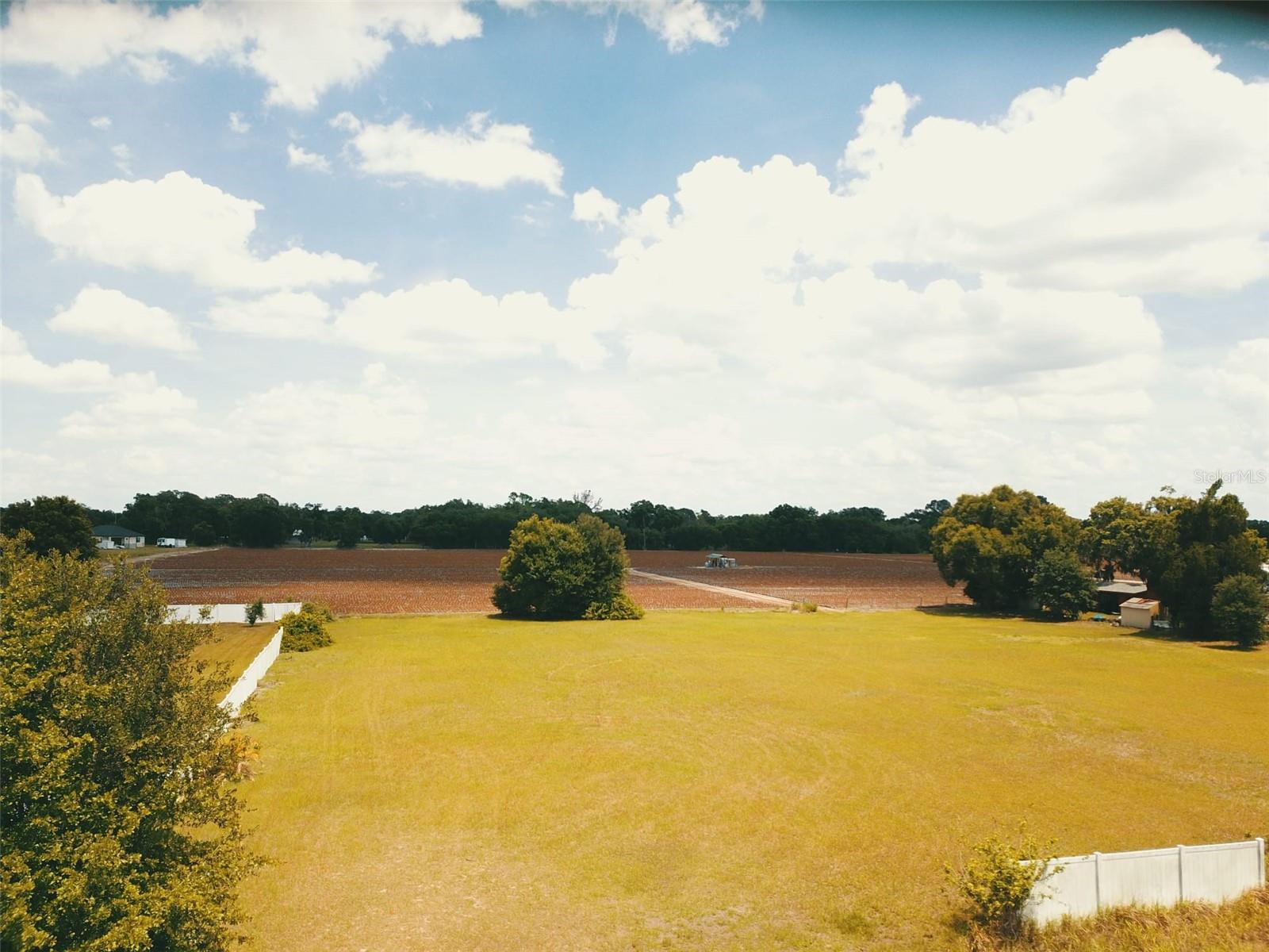 13419 COCOPAH LN, DOVER, FL