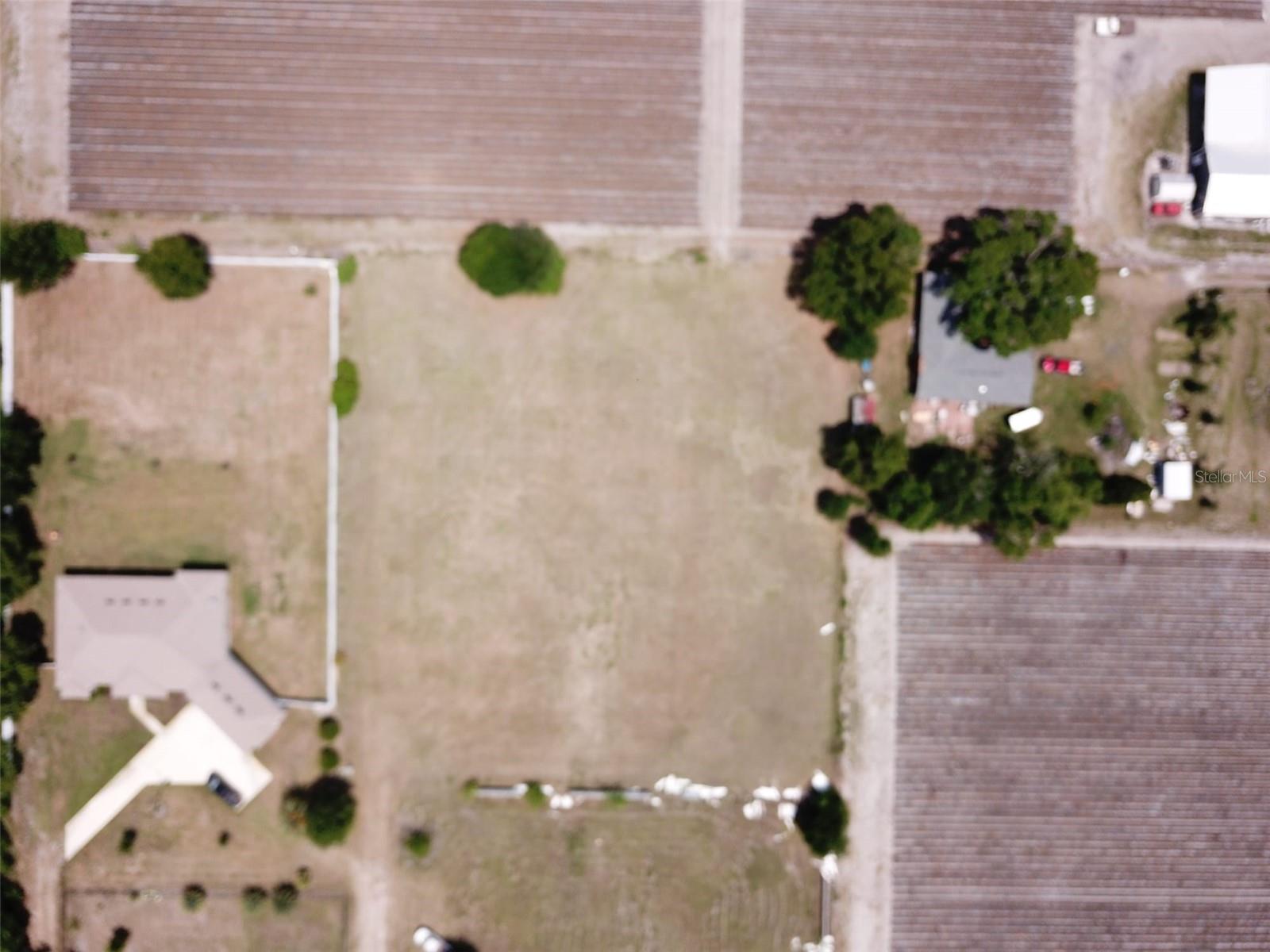 13419 COCOPAH LN, DOVER, FL — photo 9