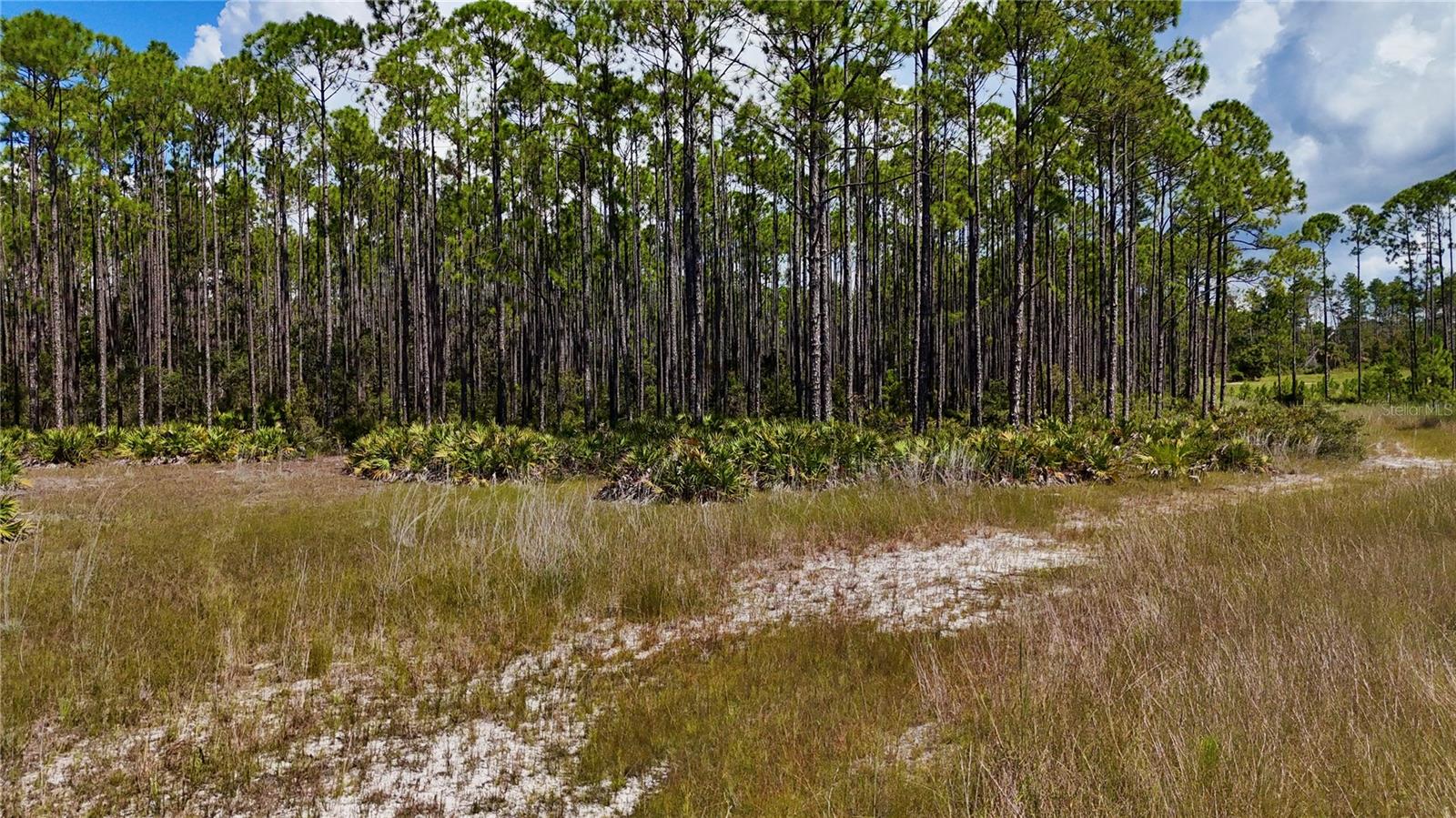 KEY DEER CT,, PERRY, FL — photo 2