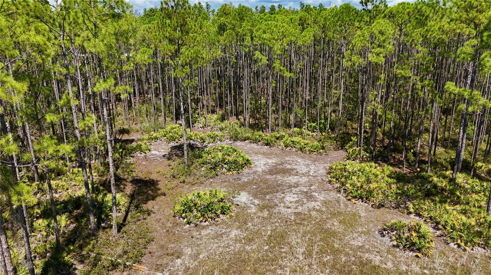 KEY DEER CT,, PERRY, FL — photo 3