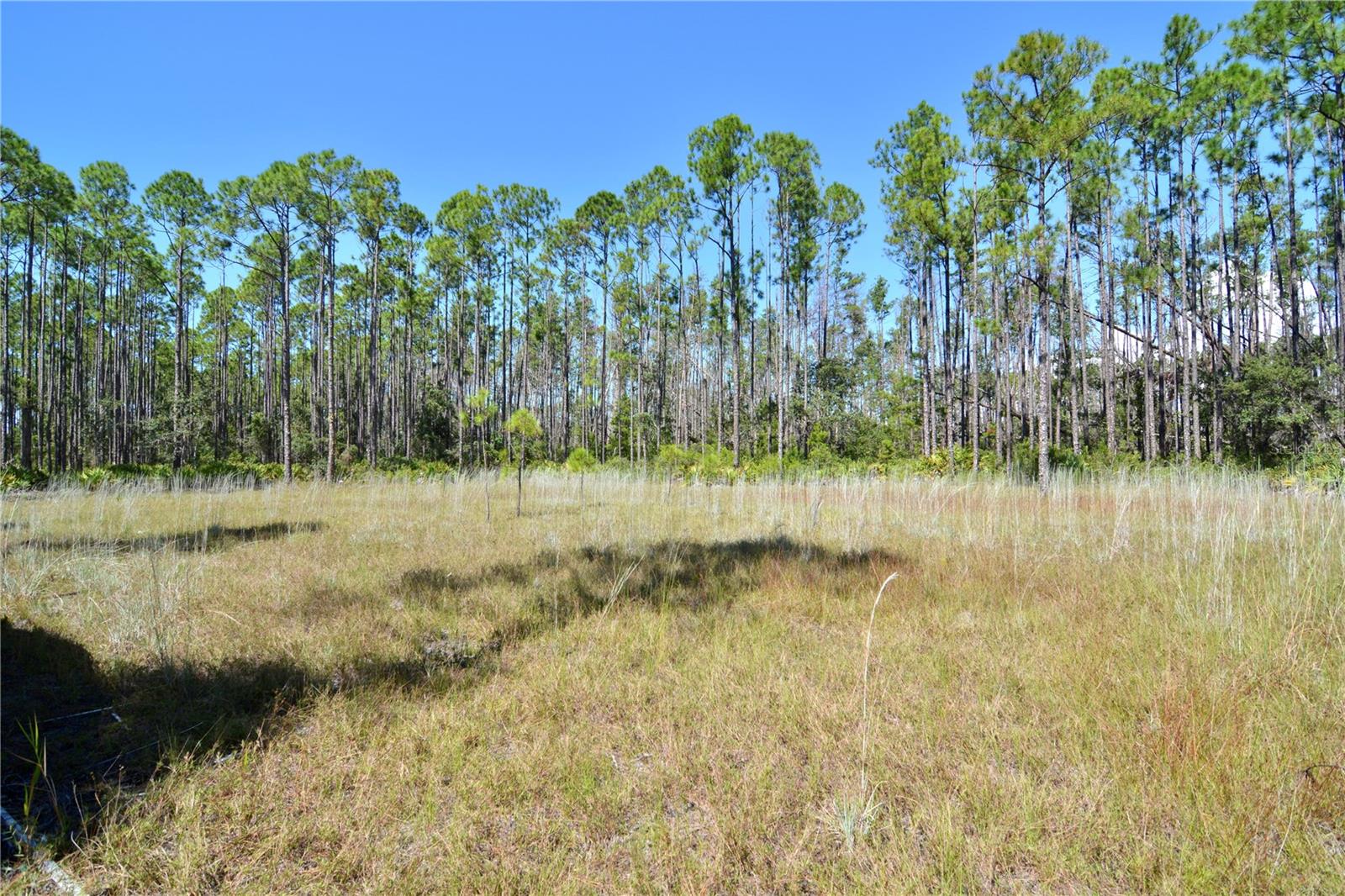 KEY DEER CT,, PERRY, FL — photo 4